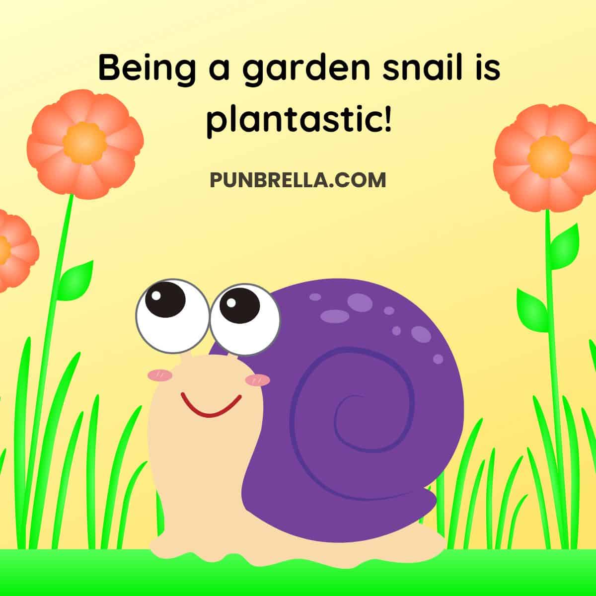 120+ Funny Snail Puns and Jokes to Shellebrate Life