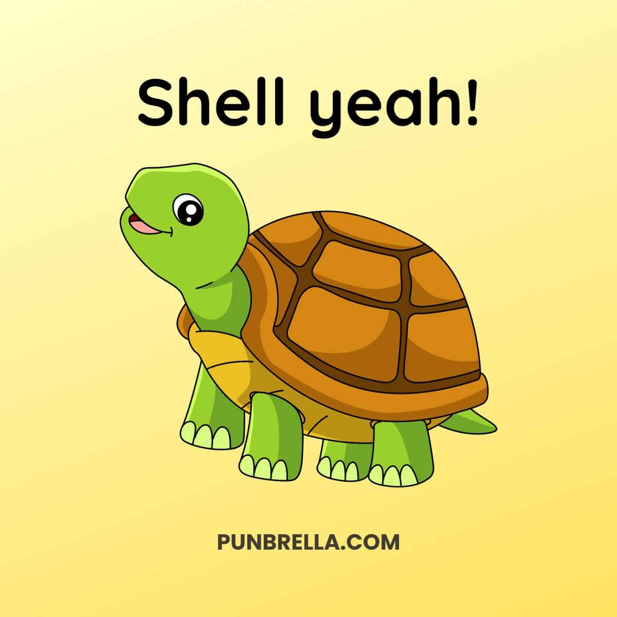 100+ Turtle Puns and Jokes That Are Shell-arious