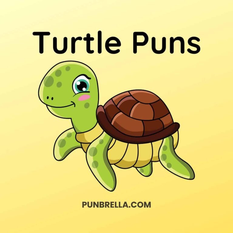 100+ Turtle Puns and Jokes That Are Shell-arious