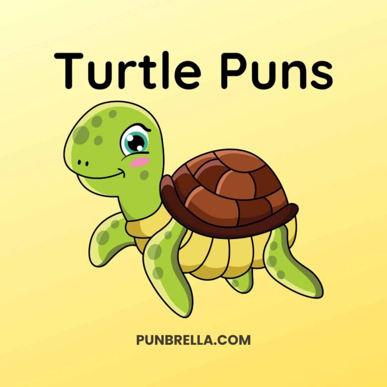 Turtle Puns