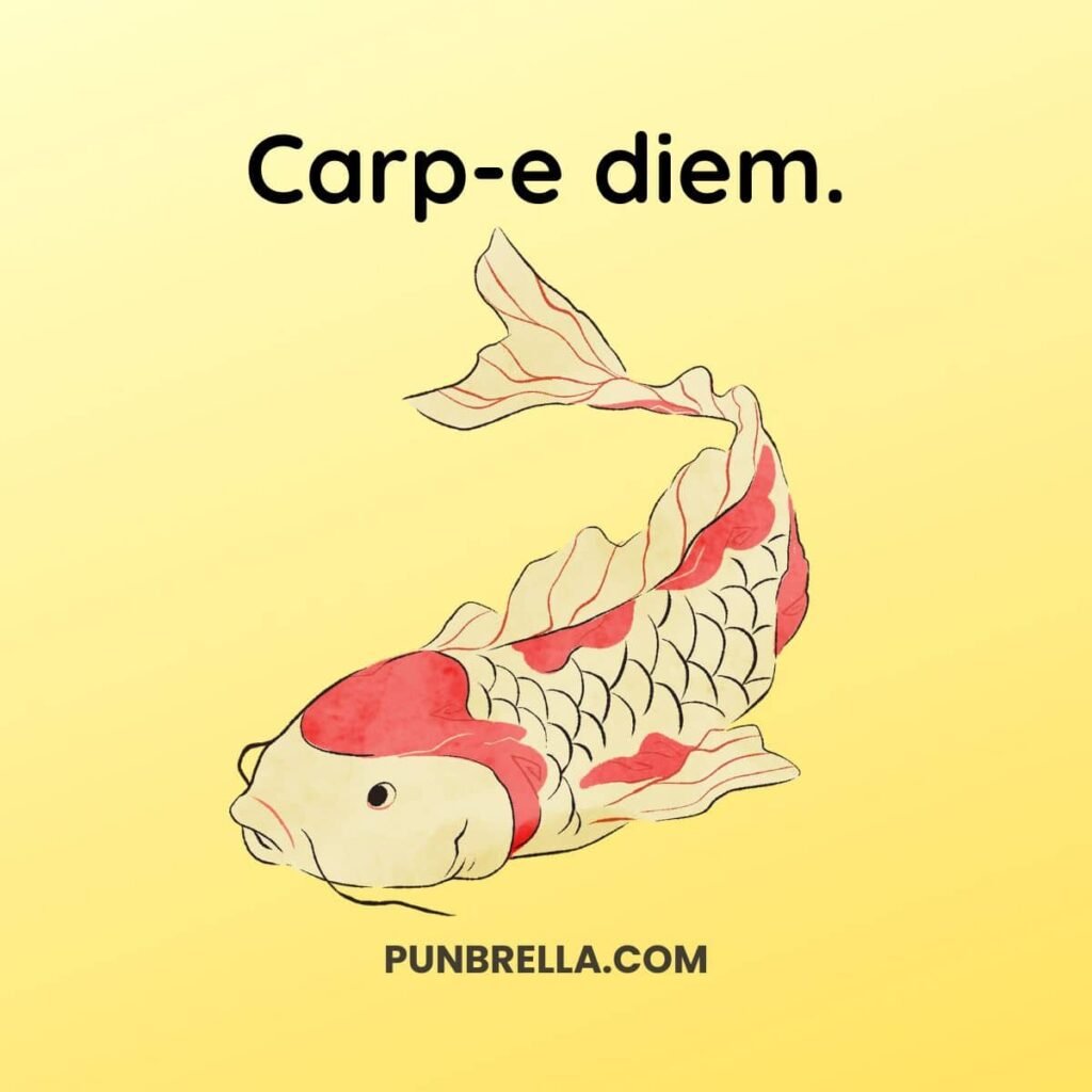 Carp-e diem. - Cute cartoon koi fish