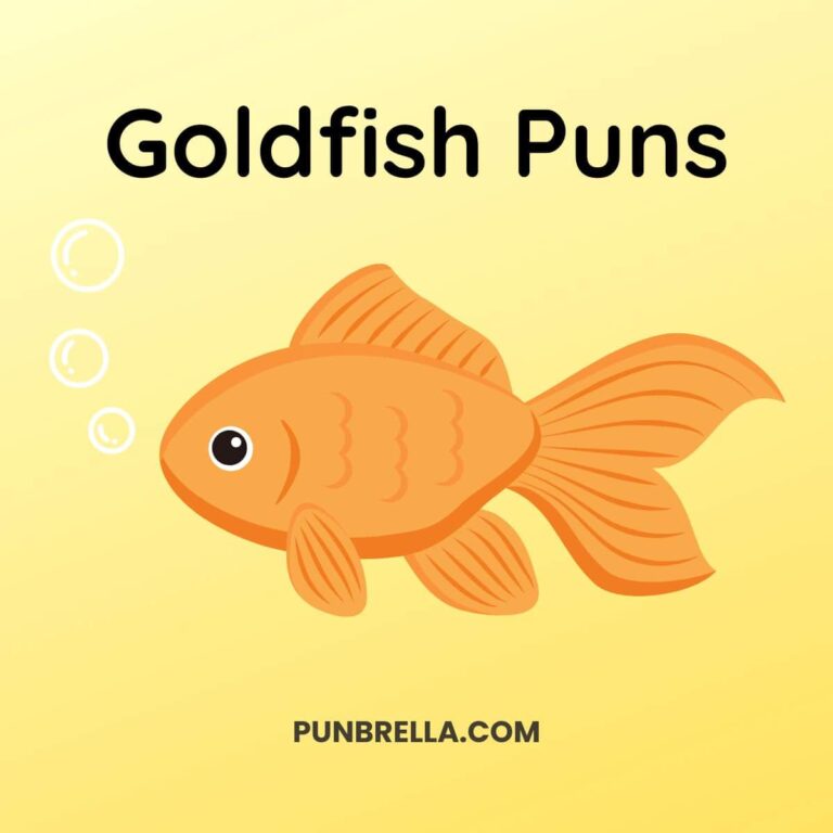 Goldfish Puns