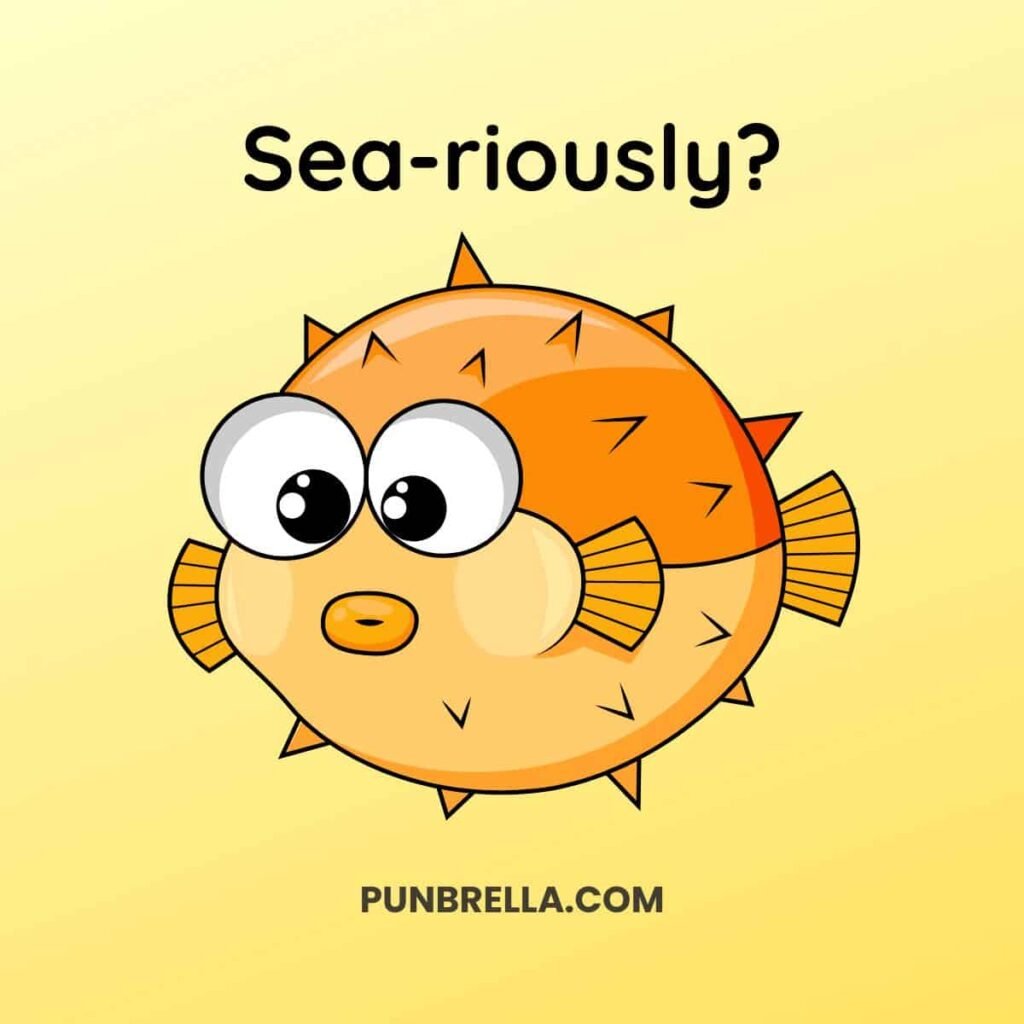 Sea-riously - A funny fugu fish