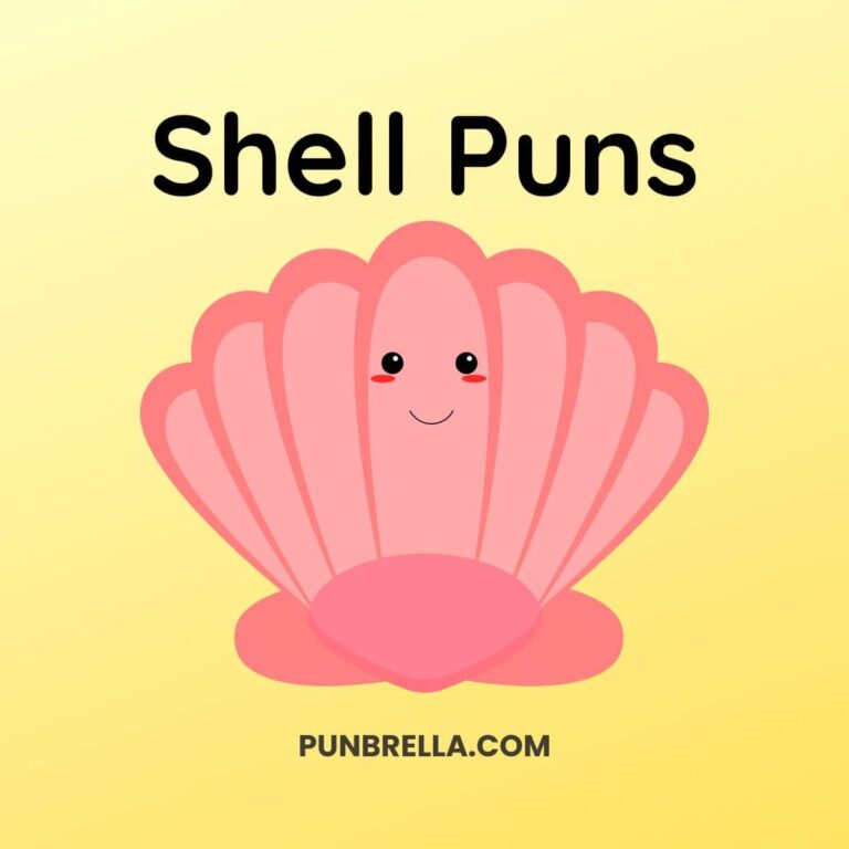 87 Shell Puns and Jokes for a Shell of a Time