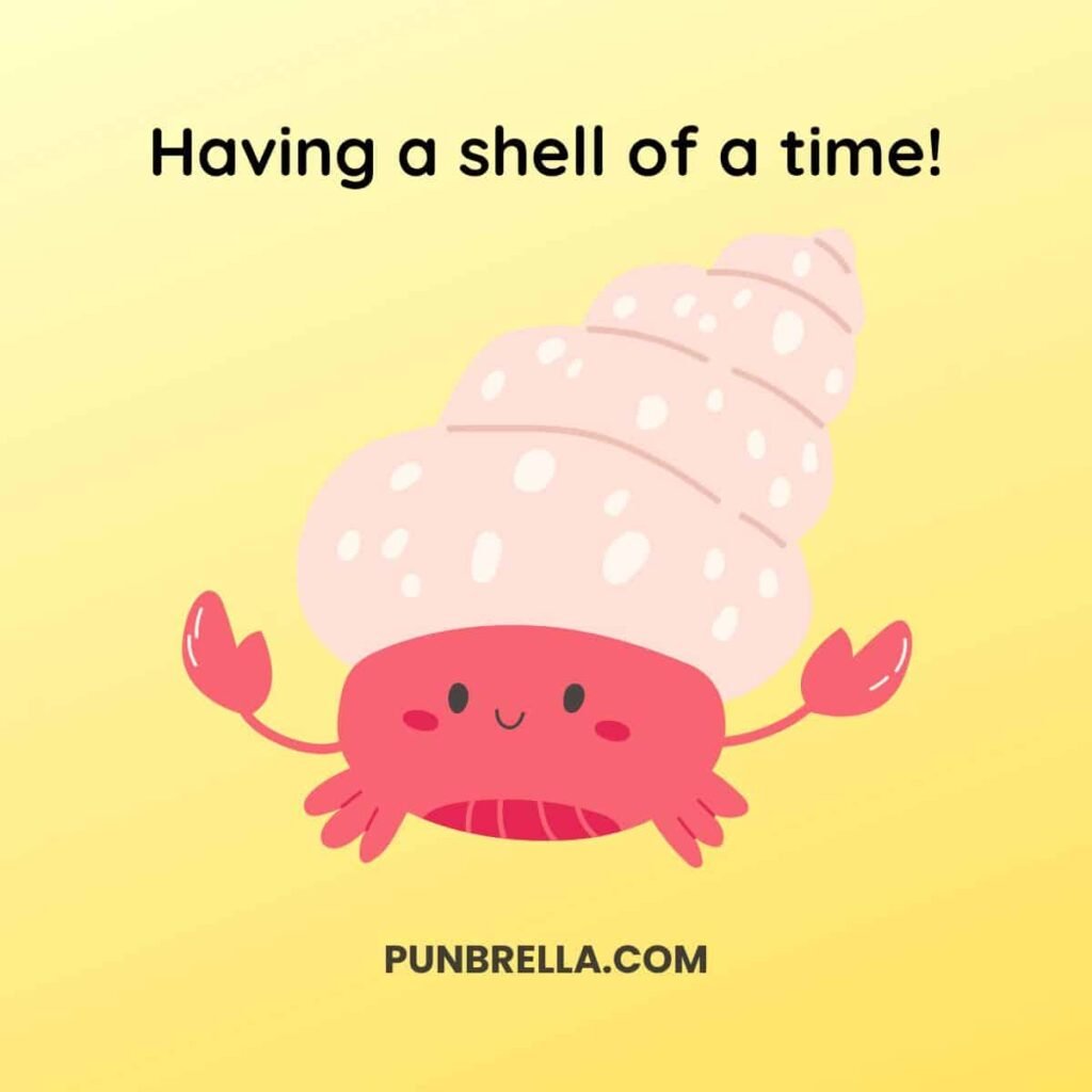 Having a shell of a time! - Kawaii hermit crab