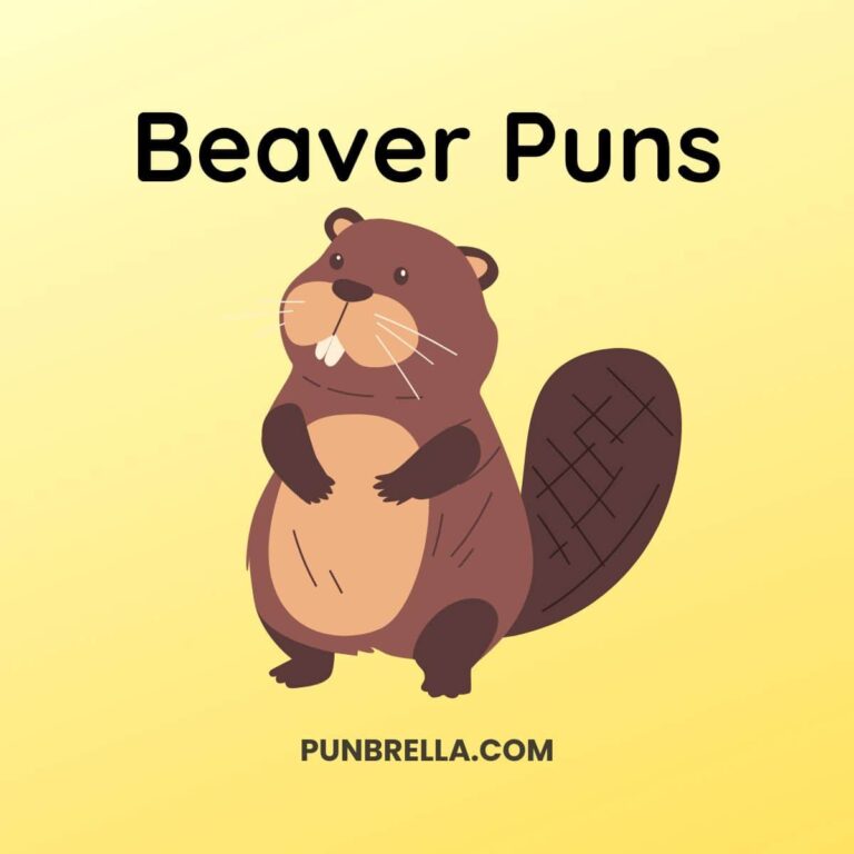 Beaver Puns