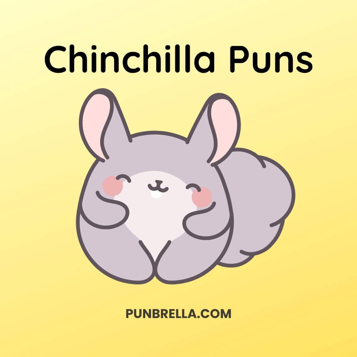 Chinchilla Puns