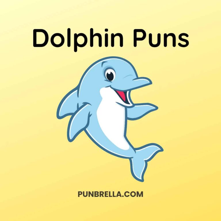 Dolphin Puns