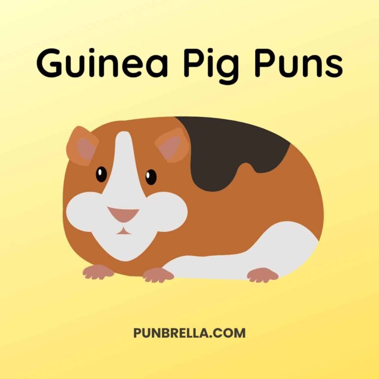 Guinea Pig Puns