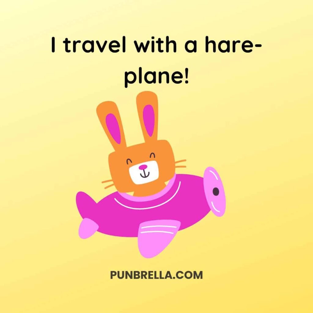 I travel with a hare-plane! - A funny cartoon rabbit