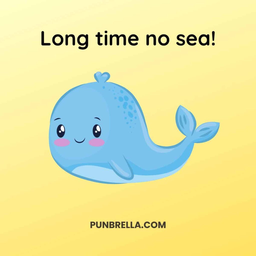 Long time no sea! - A cute cartoon whale