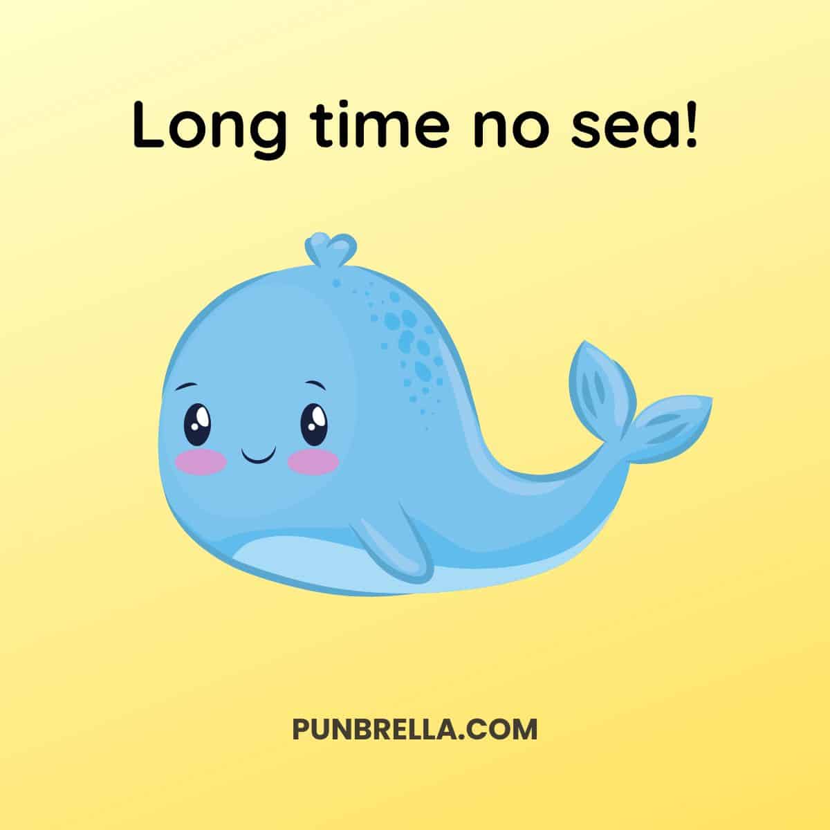 190+ Funny Whale Puns and Jokes to Make You Smile