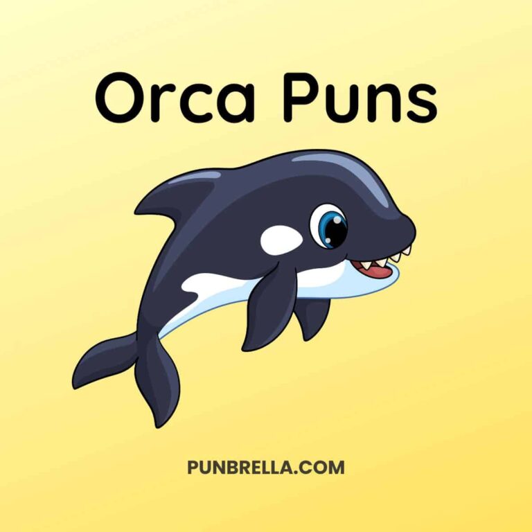 Orca Puns - A cute cartoon orca