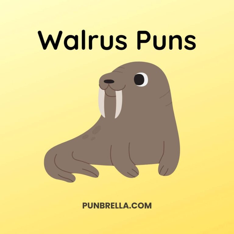 Walrus Puns