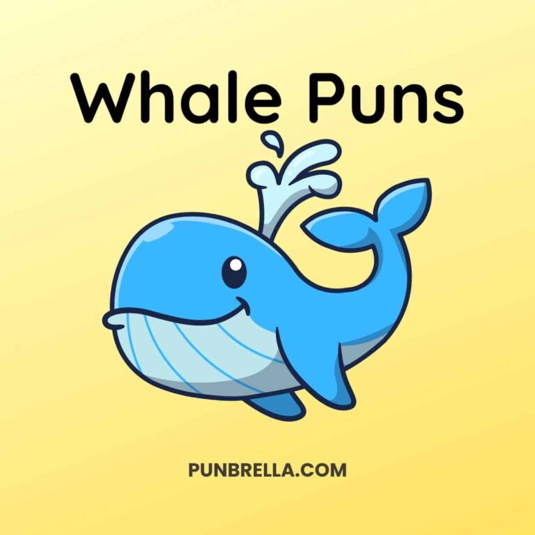 190+ Funny Whale Puns and Jokes to Make You Smile