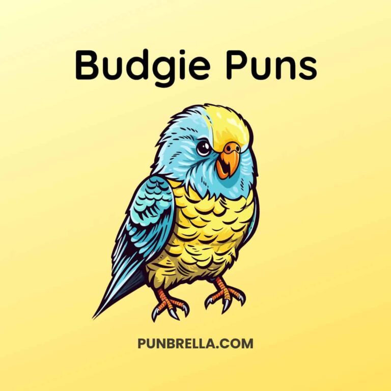 Budgie Puns