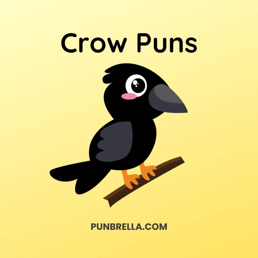 209 Hilarious Crow Puns to Spruce Up Your Conversations