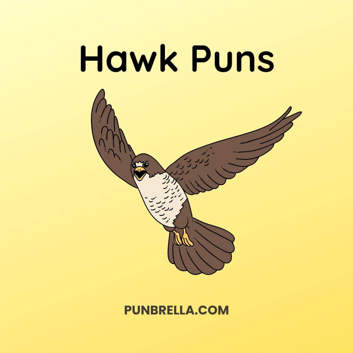 200 Hilarious Hawk Puns That Will Make You Soar with Laughter