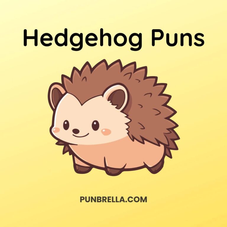 Hedgehog Puns