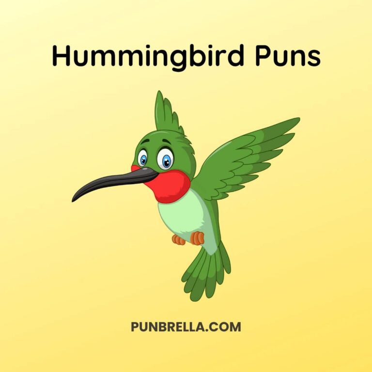 Hummingbird Puns