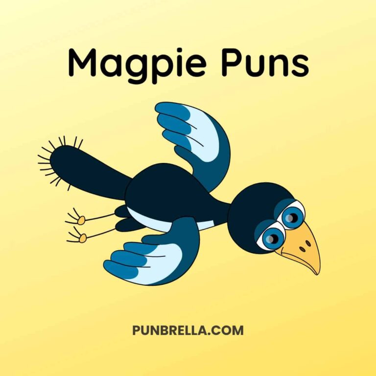 Magpie Puns