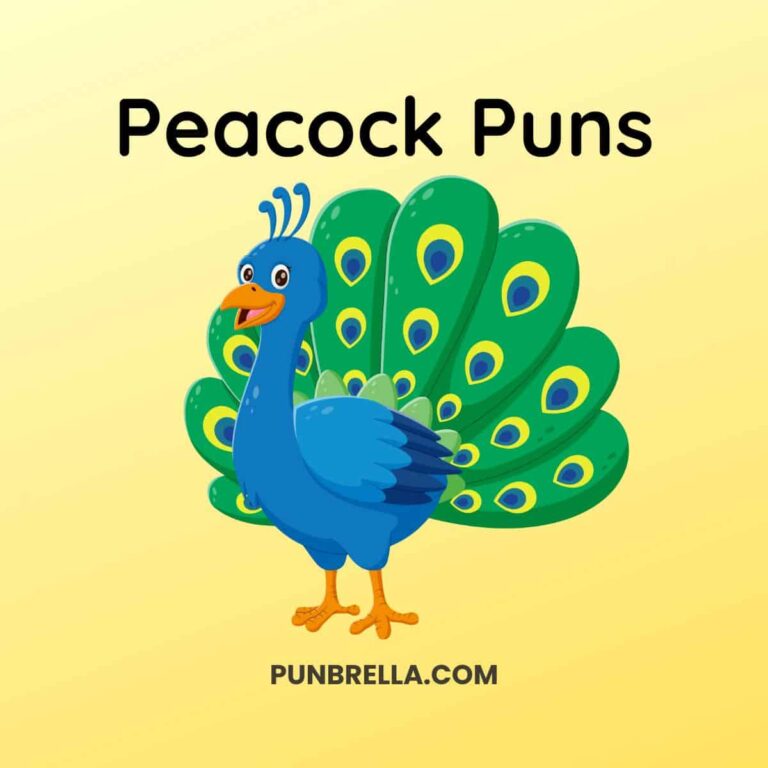 Peacock Puns