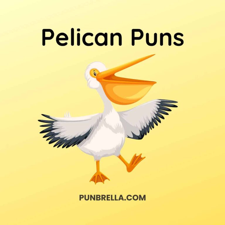 Pelican Puns