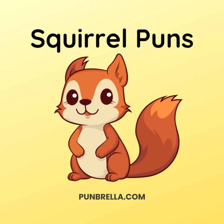 Squirrel Puns