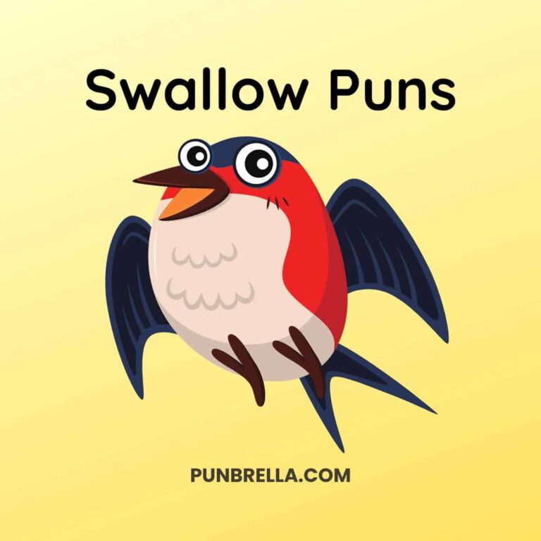 Swallow Puns