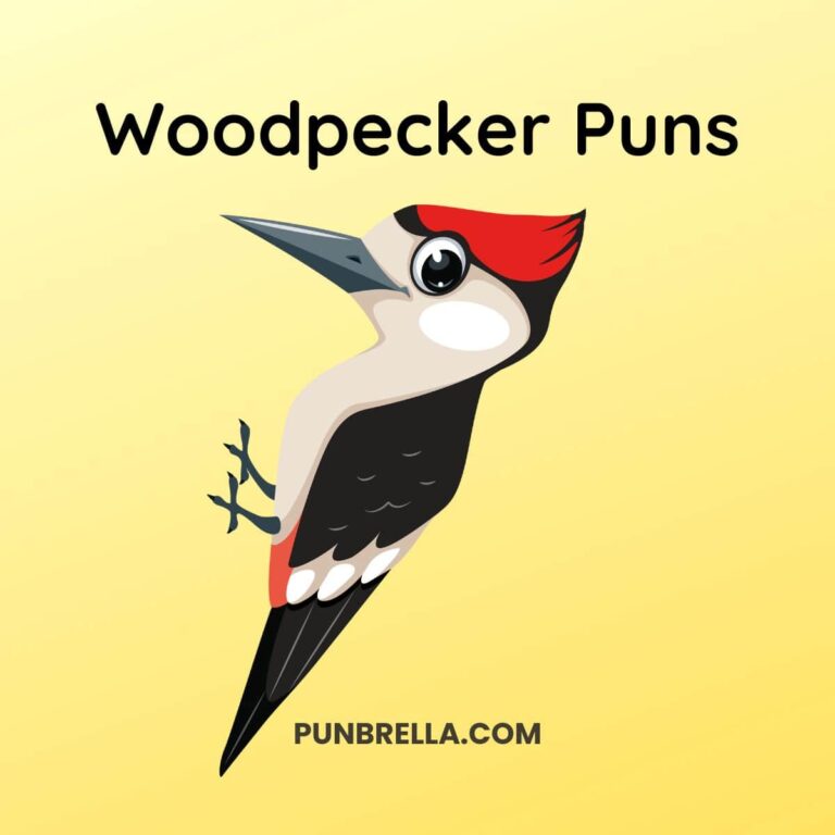 Woodpecker Puns