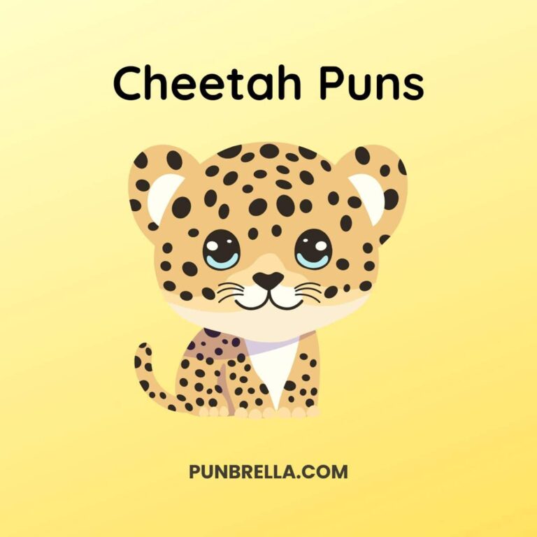 Cheetah Puns