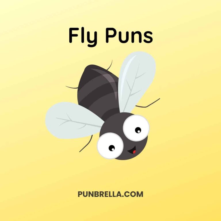 Fly Puns