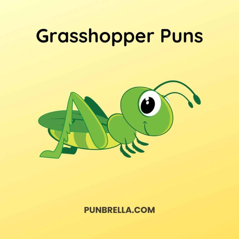 Grasshopper Puns