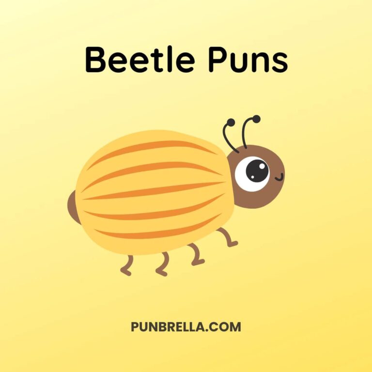 Beetle Puns