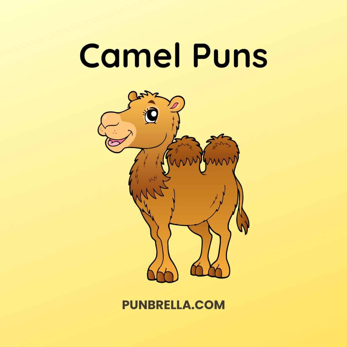 150 Hilarious Camel Puns to Make You Celebrate Hump Day