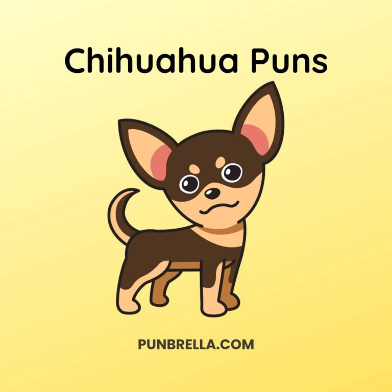 Chihuahua Puns