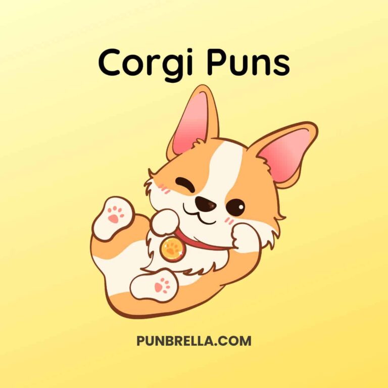 Corgi Puns