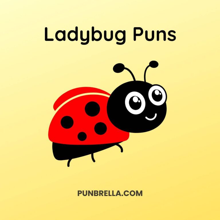 Ladybug Puns