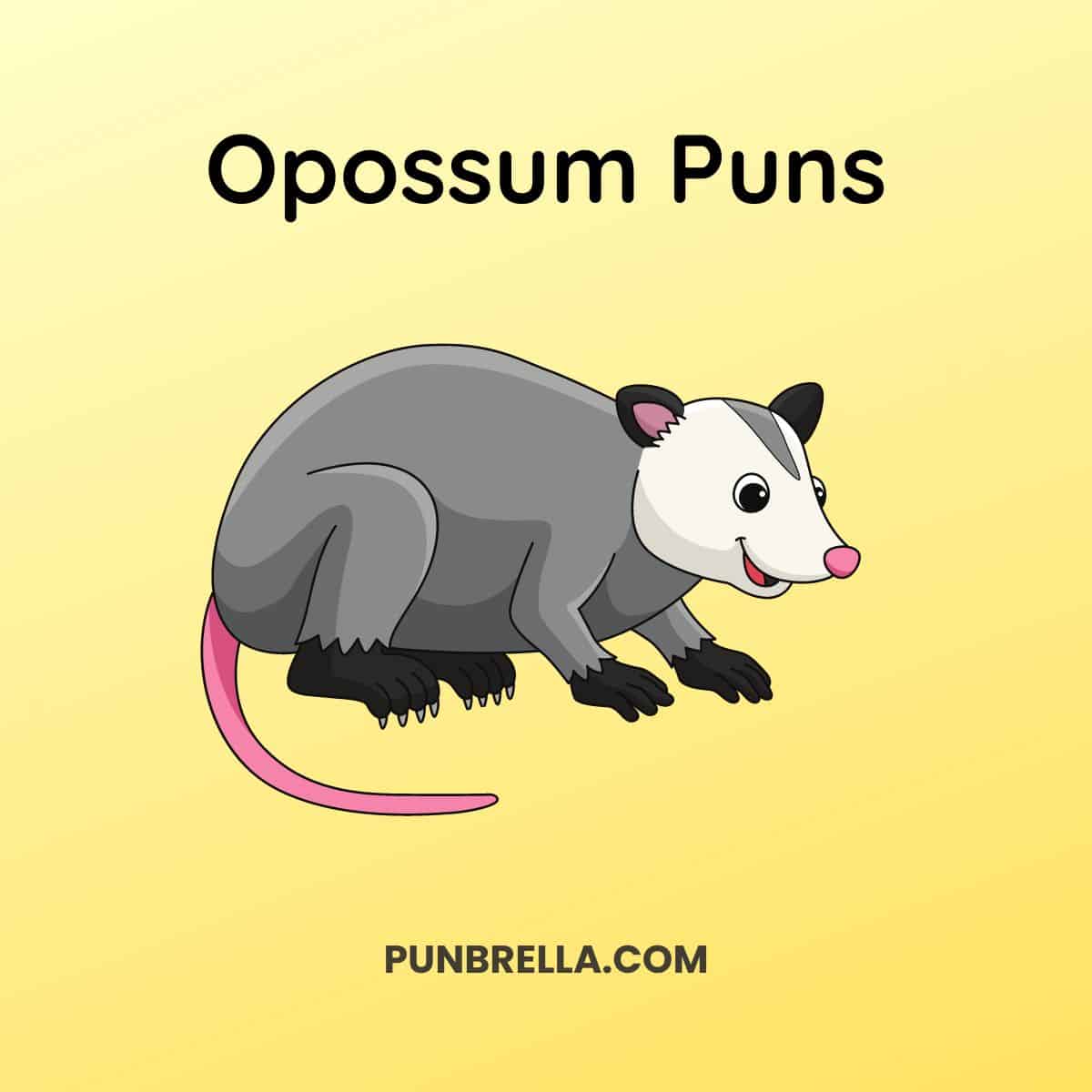 Opossum Puns