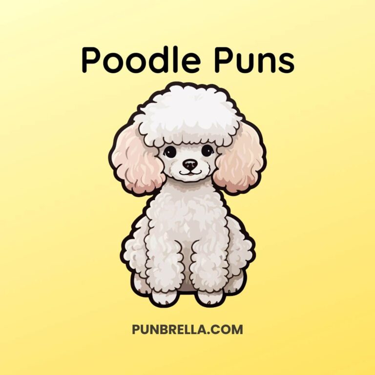 Poodle Puns