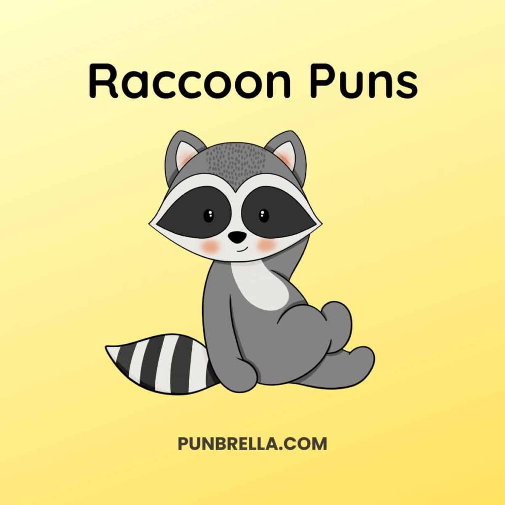 200 Hilarious Raccoon Puns That Will Make You Laugh Out Loud