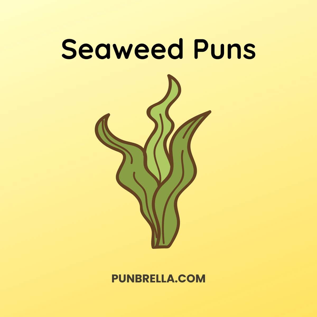 Seaweed Puns