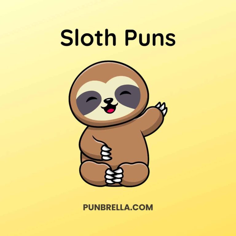 Sloth Puns